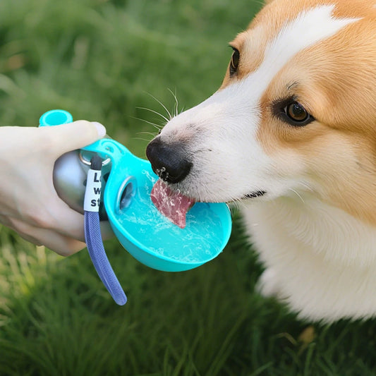 Portable Pet Water Bottle Stainless Steel Collapsible Ball shaped
